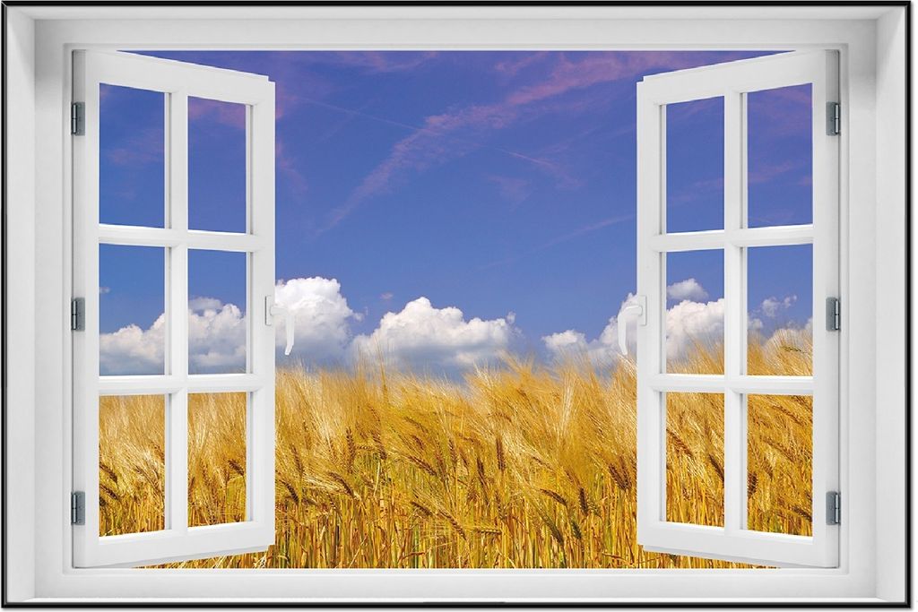 Wallario Wandbild mit Fenster-Illusion: Kornfeld unter blauem Himmel, Größe: 61 x 91,5 cm, Poster mit schwarzem Aluminiumrahmen