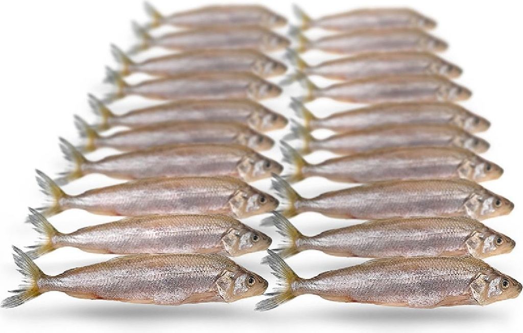 Prebaits Stinte Klein 7-12cm 120gr Produktbild 