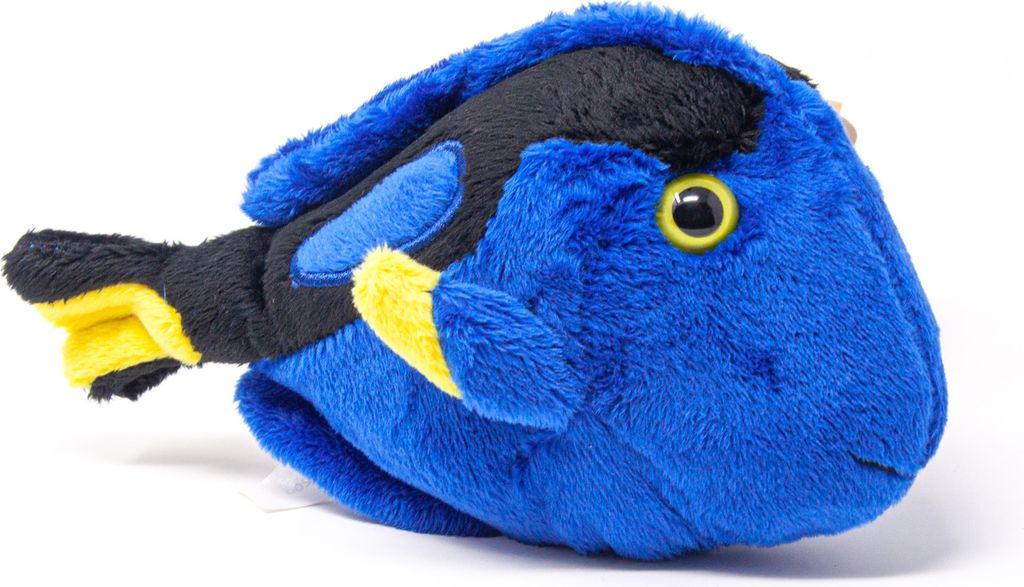Cornelissen - Doudou - Poisson docteur de palette - 18 cm Image du produit 
