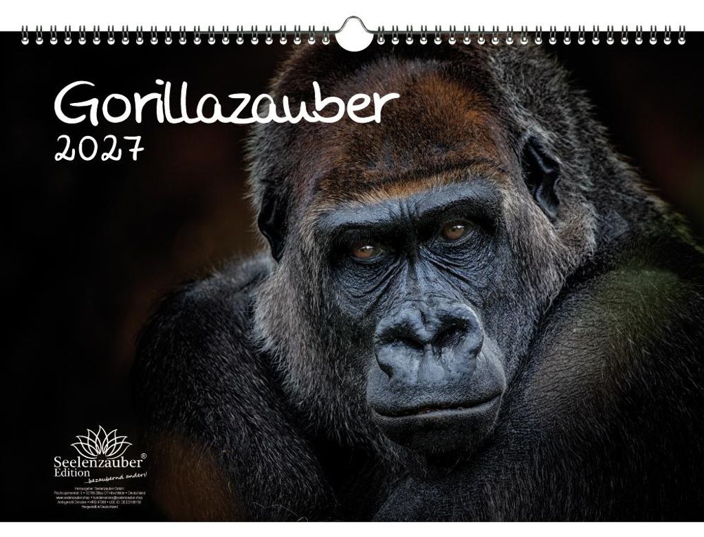 Gorillazauber DIN A3 Kalender für 2027 Affen - Seelenzauber