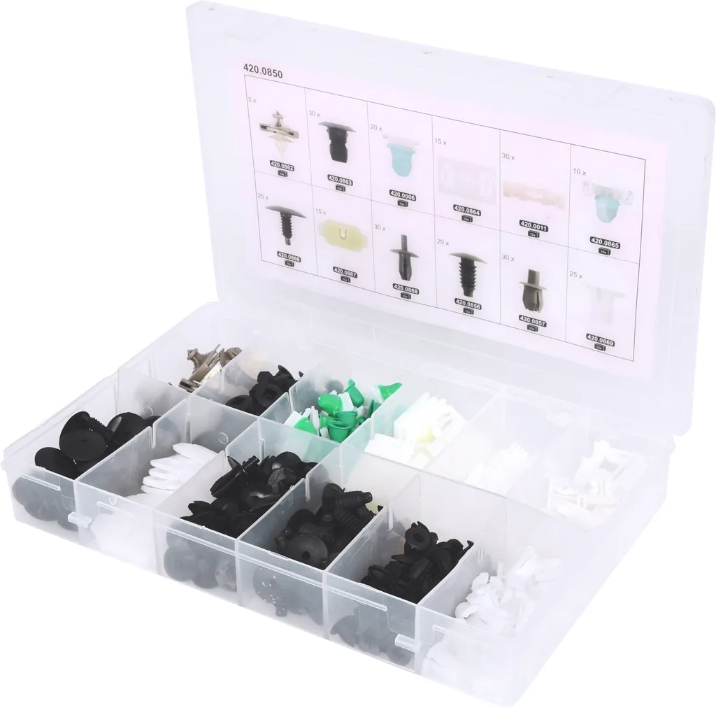 KS TOOLS 420.0850 Jeu de clips de fixation pour Volkswagen - 255 pièces