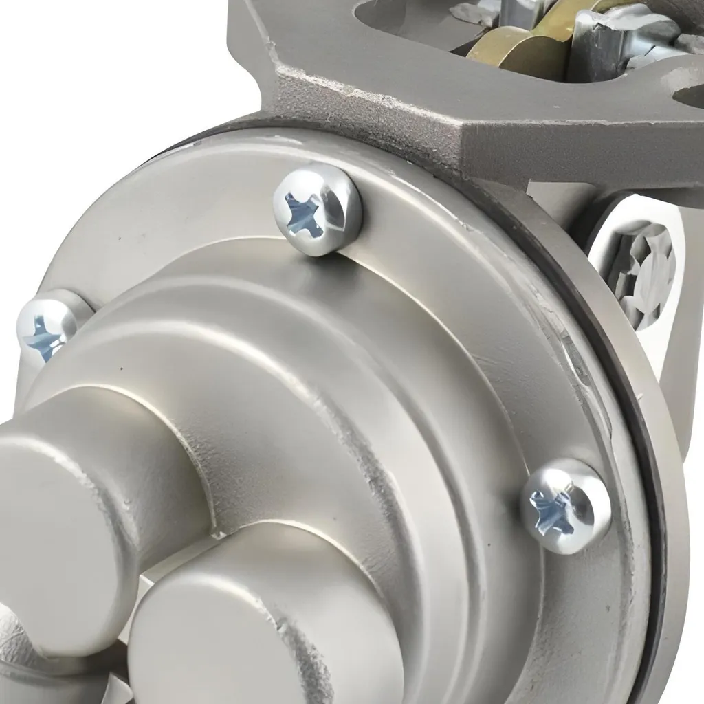 Pompe à Gasoil RMS 850509 pour Piaggio Porter 1.4 Diesel 1998-2005