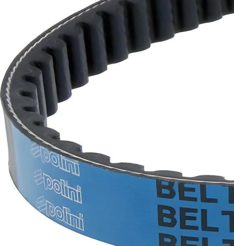 Courroie Polini Speed Belt pour Piaggio moteur long version neuve