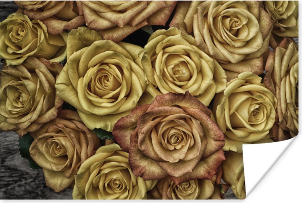 MuchoWow Poster Rosen - Gold - Braun - Blumenstrauß 180x120 cm - Fotoplakat