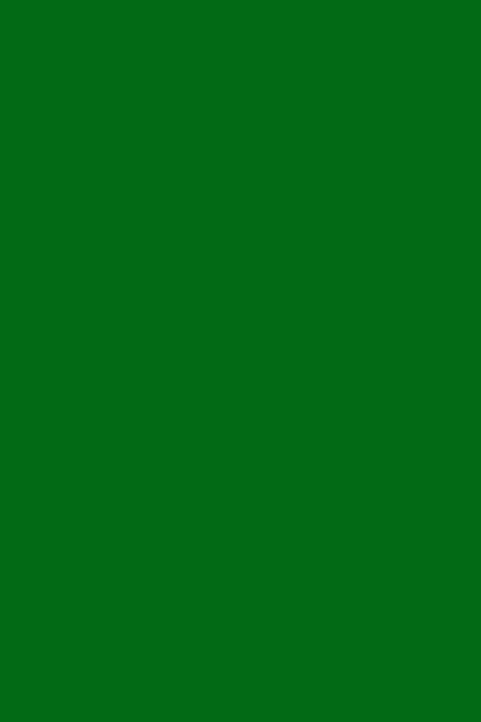 Feutrine Souple et Fine Vert Mousse 20x30 cm Haute Qualité Knorr