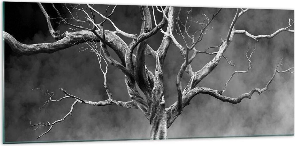 Bilder auf glas - Einteilig - Schwarzweiß Äste Rauch - 120x50cm - Glasbilder - Wandbilder - Bilder - zum Aufhängen bereit - Wanddekoration aus G...
