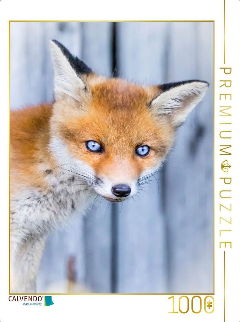 CALVENDO Puzzle Fuchswelpen Portrait | 1000 Teile Lege-Größe 64x48cm Foto-Puzzle für glückliche Stunden