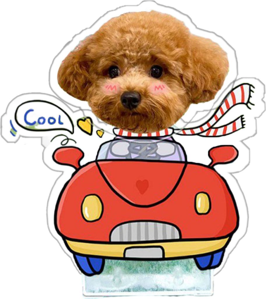 Personalisierte Haustier-Katzen-Hund-Dekoration, bezauberndes Aussehen, batteriebetrieben, automatischer Kopfschütteln, Haustierstatue, Auto-Ornament