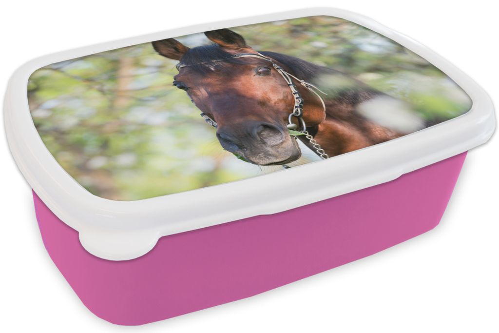 KitchenYeah Lunchbox Brotzeit Brotdose 17x11 cm Pferde - Blüte - Frühling - Tiere Kinder Brotzeitdose - Lunchpaket - Brotkasten - Sandwich Box