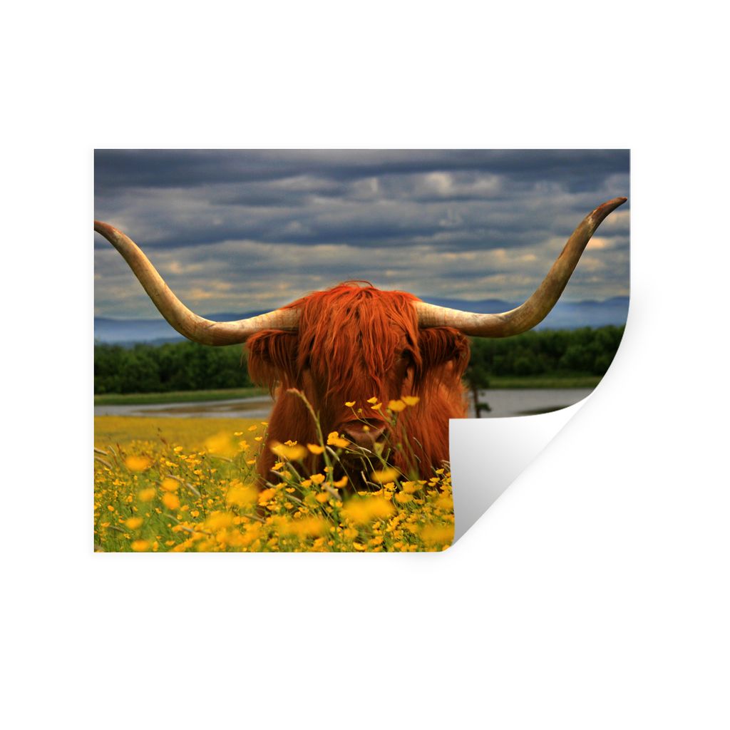 MuchoWow Wandtattoo Wandsticker Wandaufkleber Schottischer Highlander - Tiere - Blumen 80x60 cm Selbstklebend und Repositionierbar - Faltenfrei
