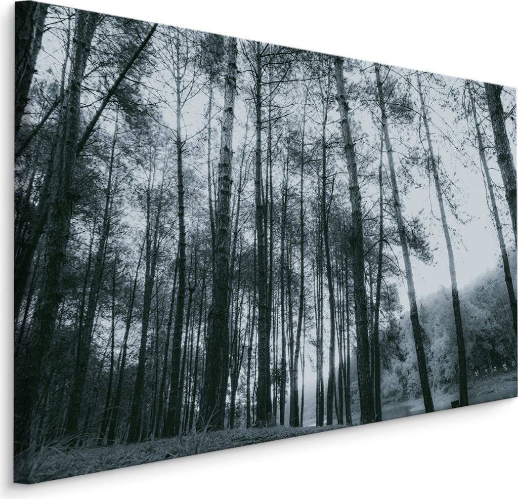 Fabelhafte Canvas LEINWAND BILDER 100x70 cm XXL Kunstdruck Wald Bäume Fluss Himmel