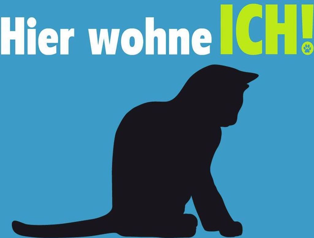 vianmo Holzschild 30x40 cm Katze hier wohne ich blau