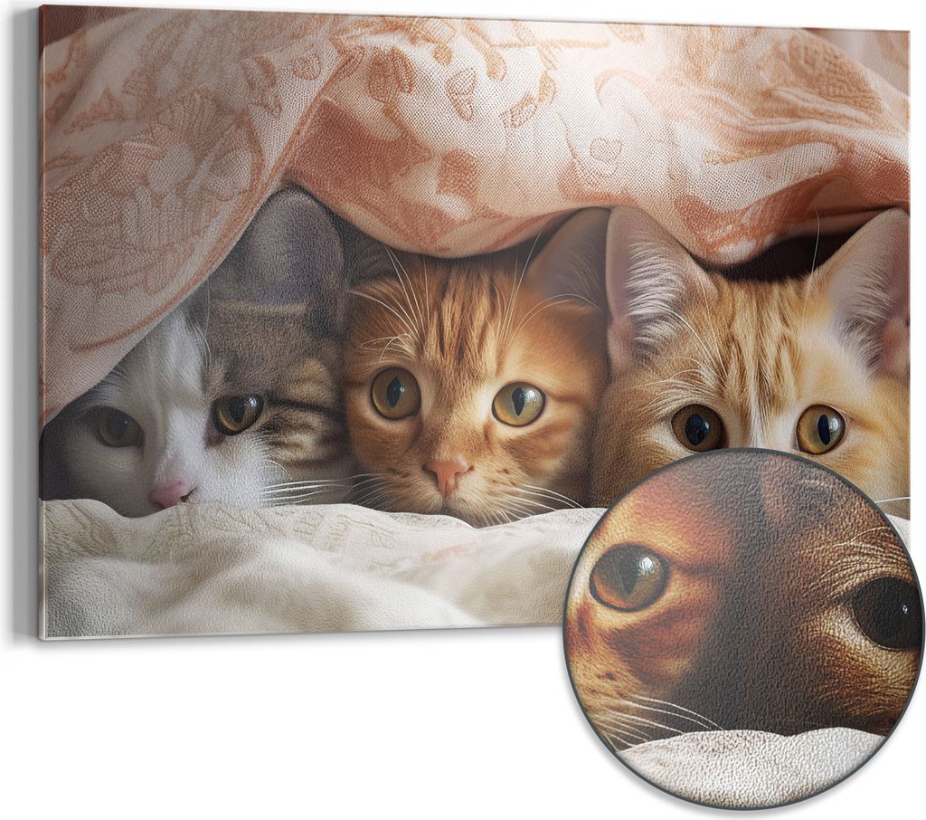 DEQORI Magnettafel Metall 60x40 cm 'Katzenkuscheln' Whiteboard Pinnwand Magnetboard Büro