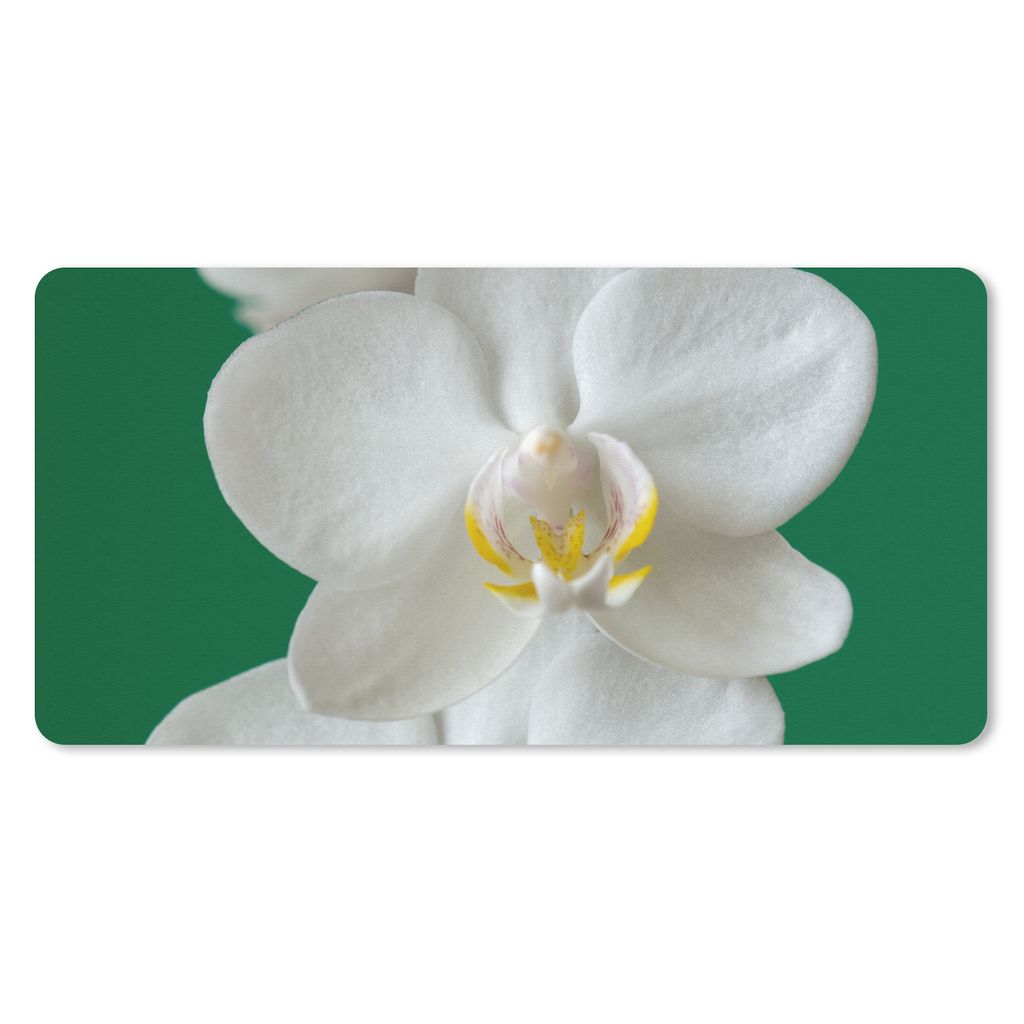 MuchoWow Schreibtischunterlage Orchidee mit grünem Hintergrund 80x40 cm - XXL Mauspad - Gaming Mauspad