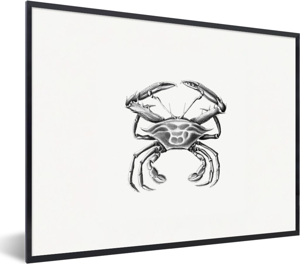 MuchoWow Gerahmtes Poster Ernst Haeckel - Jahrgang - Kunst - Krabbe 40x30 cm - Poster mit Schwarzem Bilderrahmen Wandposter Rahmen Foto Bilder - ...