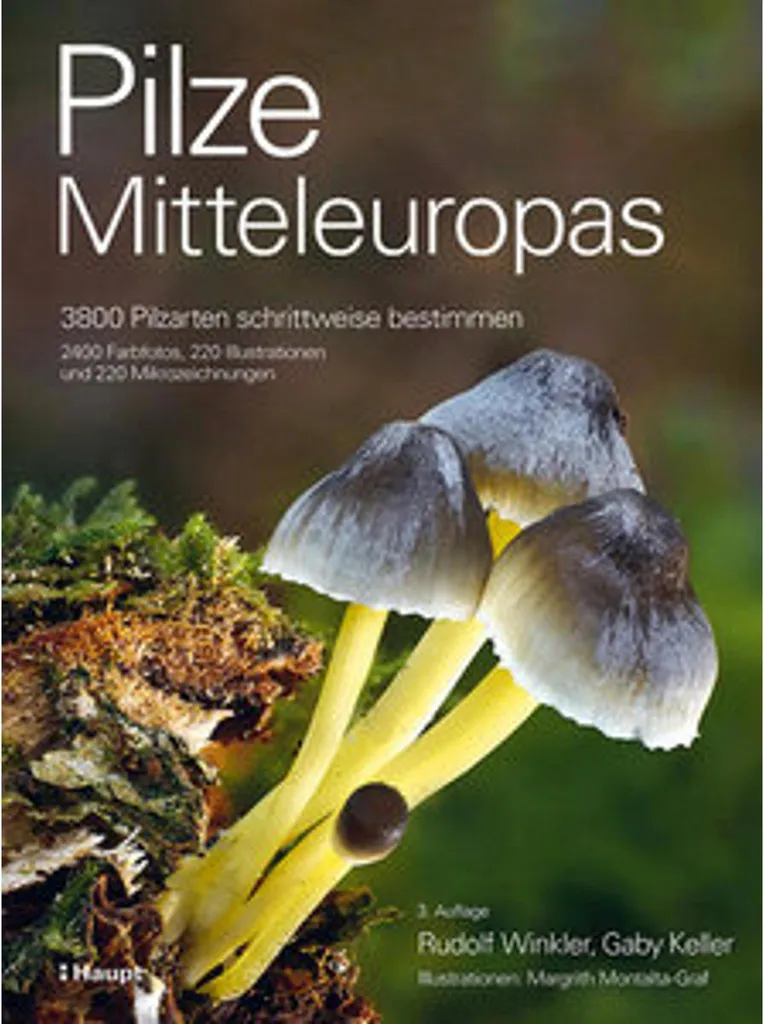 Pilze Mitteleuropas : Éviter les Confusions lors de vos Cueillettes