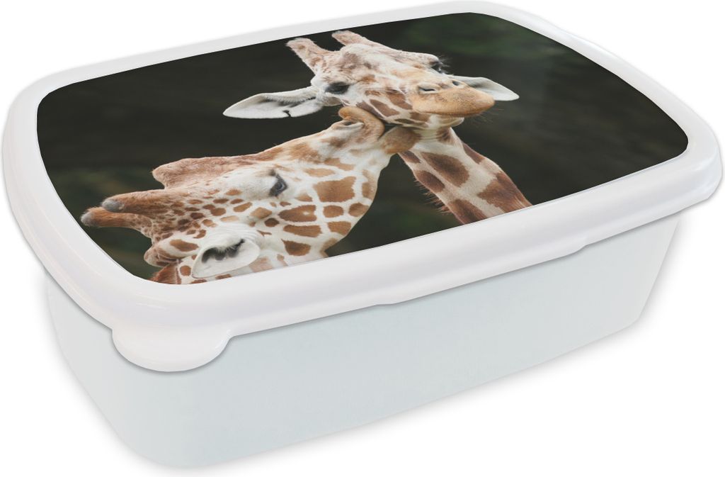KitchenYeah Lunchbox Brotzeit Brotdose 17x11 cm Giraffe - Tiere - Schwarz Kinder Brotzeitdose - Lunch Box - Kinder - Sandwich-Box - Schulbox - Lu...