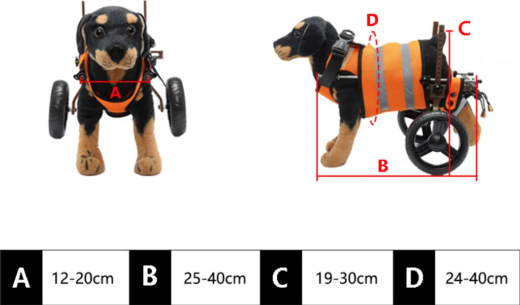 Solution Mobilité Chien Handicapé : Déambulateur Réglable à deux Roues - 9