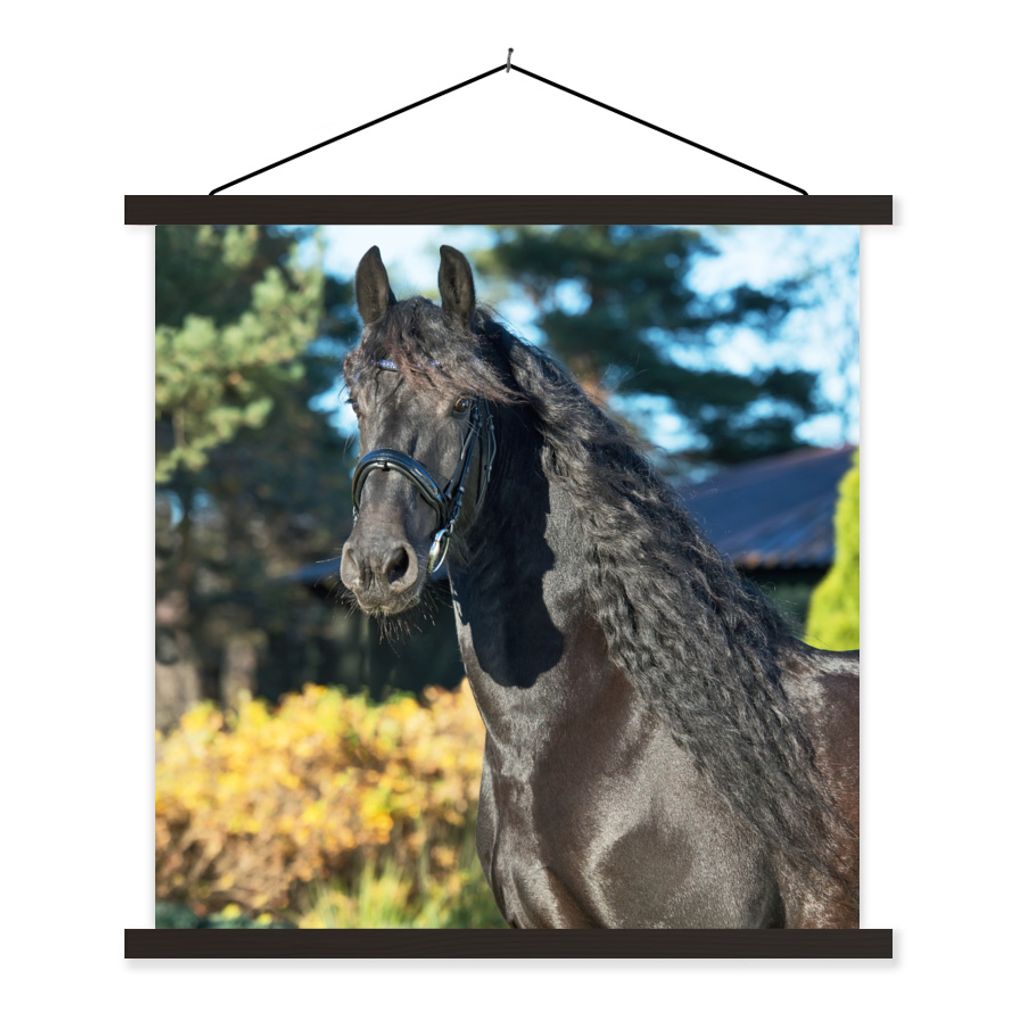 MuchoWow Textilposter Sonne - Friesisch - Pferd 90x90 cm mit schwarzem Rahmen - Magnetisches