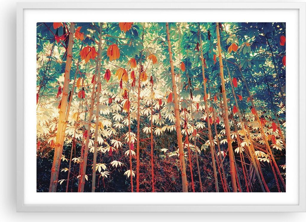 Gerahmtes Poster - Weißer Rahmen - Pflanzen tropisch orange - 70x50 cm - Wand Bild - Wanddeko - Wandbilder - Kunstposter - Wandposter - Bilderrahm...