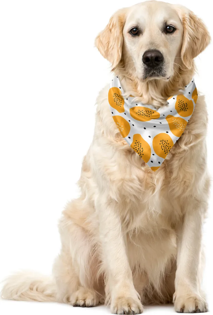 ABAKUHAUS Bandana Pet Arancione 40x40cm | Qualità Garantita Estate