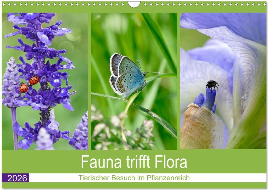 Fauna trifft Flora - Tierischer Besuch im Pflanzenreich (Wandkalender 2026 DIN A3 quer), CALVENDO Monatskalender