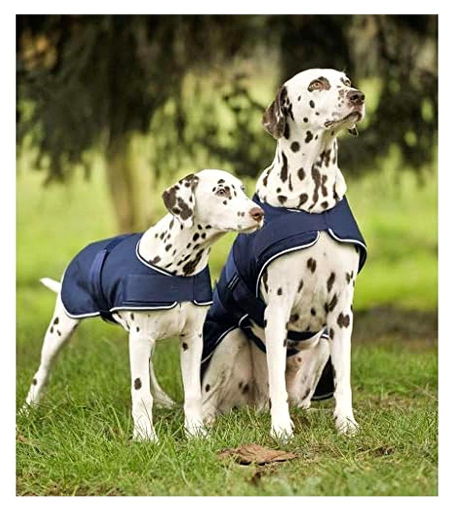 Wasserdichte Hundedecke mit Wärmedämmung und Rundhalsausschnitt in Blau aus Polyester