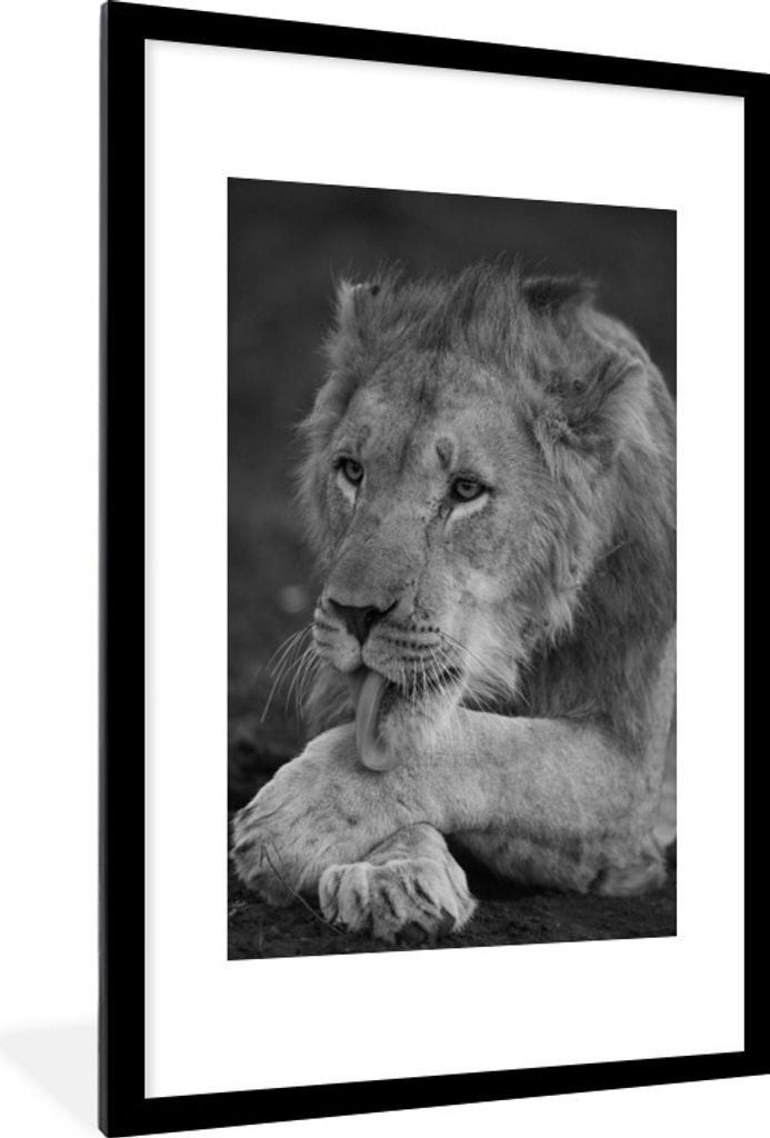 MuchoWow Gerahmtes Poster Löwe - Wild - Schwarz 60x90 cm - Poster mit Schwarzem Bilderrahmen Wandposter Rahmen Foto Bilder - Dekoration - Wandpo...