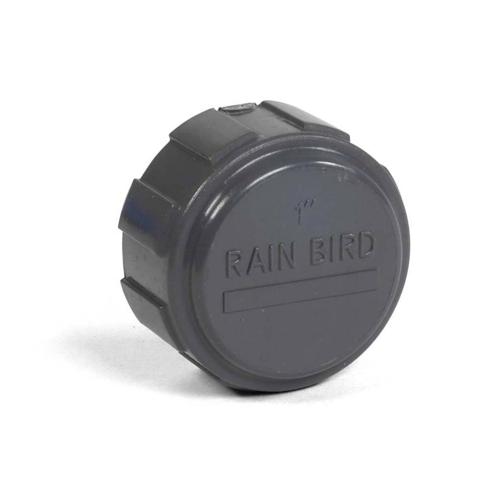 Rain Bird Kappe PVC 1" Innengewinde 10bar Grau