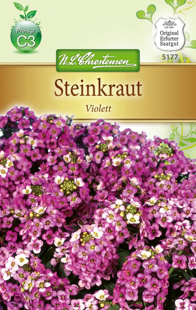 Steinkraut Alyssum Violett | Steinkrautsamen von N.L. Chrestensen