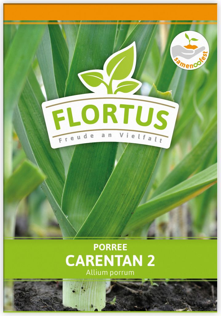 Lauch-Porree Carentan 2 | Lauchsamen von FLORTUS Produktbild 