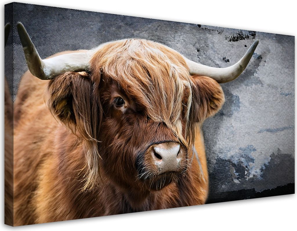 Leinwandbild Schottische Kuh Tiere Natur 80x40 Feeby Braun bild für die wand bereit zum aufhängen