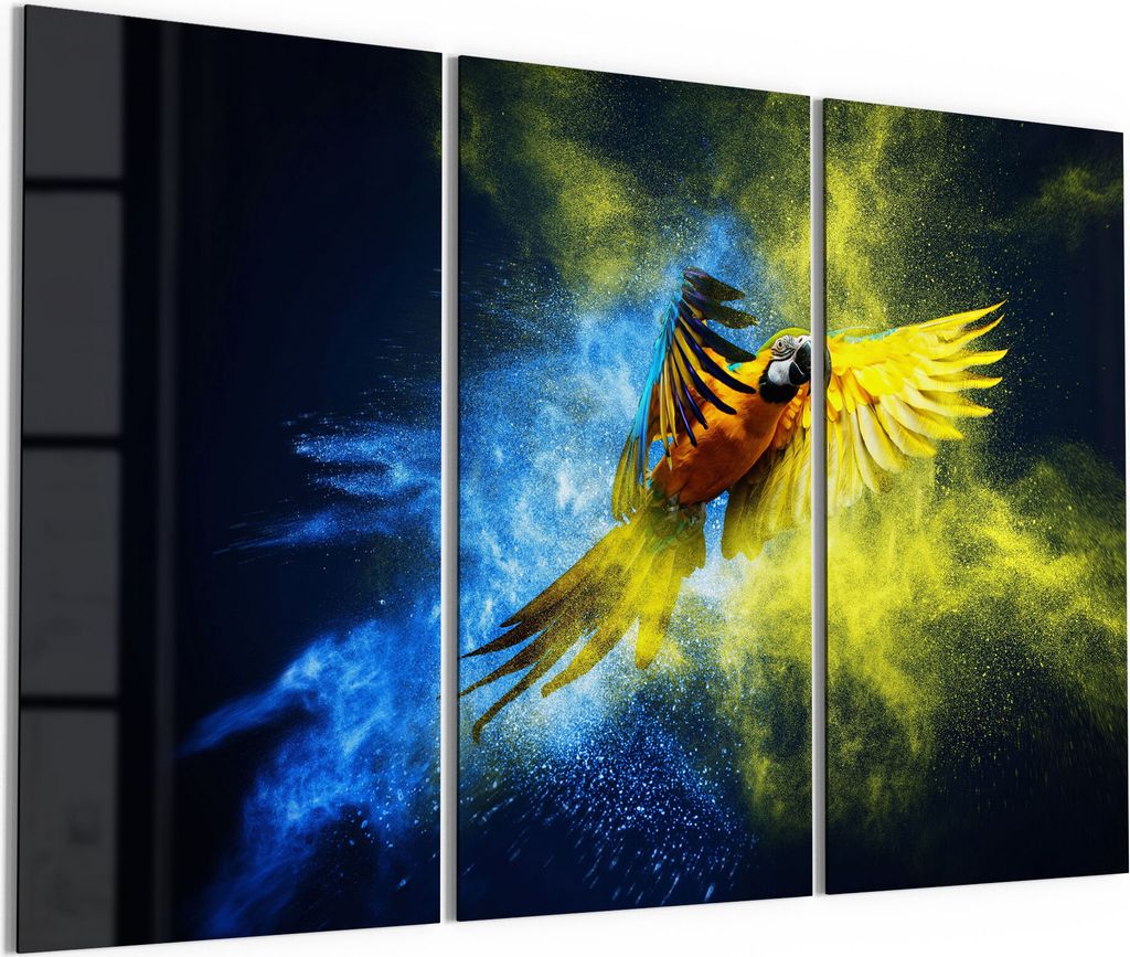 DEQORI Glasbilder Acryl 3x50x100 cm 'Papagei in Farbwolke' Wandbilder XXL groß