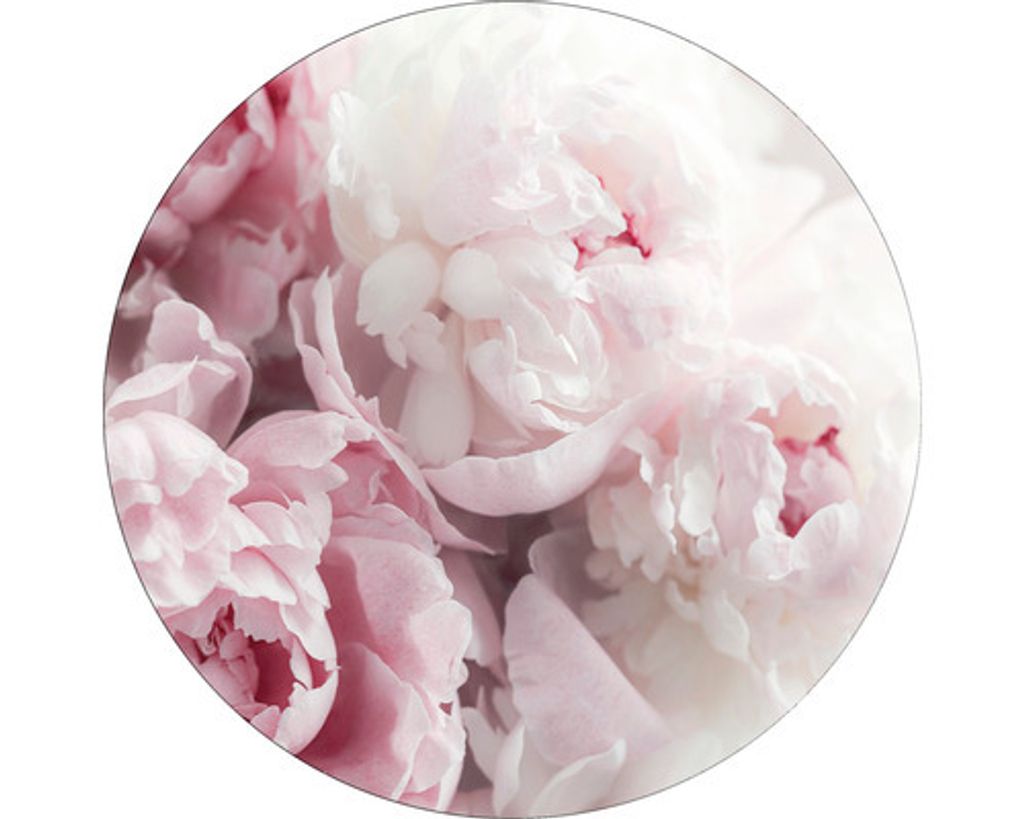 Rundes Glasbild Pfingstrosen Shabby Chic Rosa Weiß Serie Peonies II Ø 50 cm