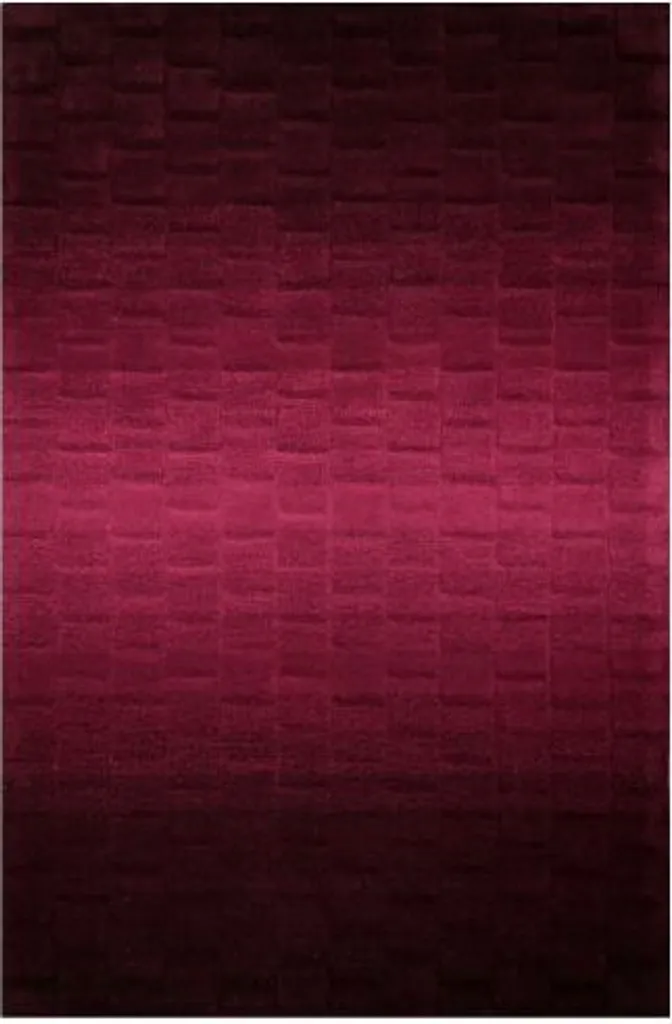 Tapis violet Skyline 1052-05 140x200 : anti-tache et facile à laver