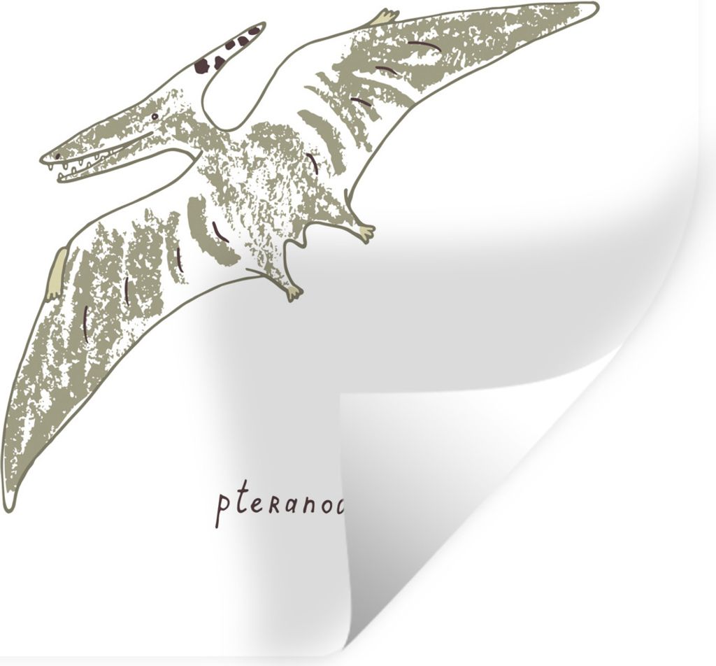 MuchoWow Wandtattoo Wandsticker Wandaufkleber Kinderzimmer - Pteranodon - Dinosaurier - Jungen - Mädchen - Kinder - Kinder 100x100 cm Selbstkleb...
