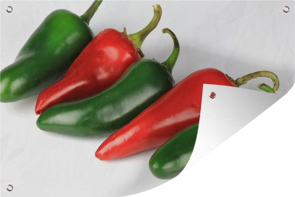 MuchoWow 60x40 cm Outdoor-Poster Gartendeko Sichtschutz Garten Poster für den Garten Jalapeño-Paprika auf weißem Hintergrund