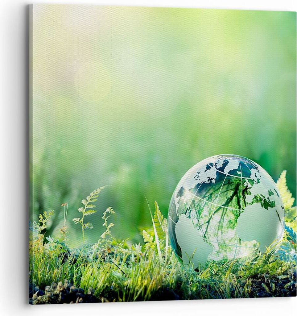 Bild auf Leinwand - Leinwandbild - natur natur - 70x70cm - Wand Bild - Wanddeko - Wandbilder - Leinwanddruck - Bilder - Kunstdruck - Wanddekoration...