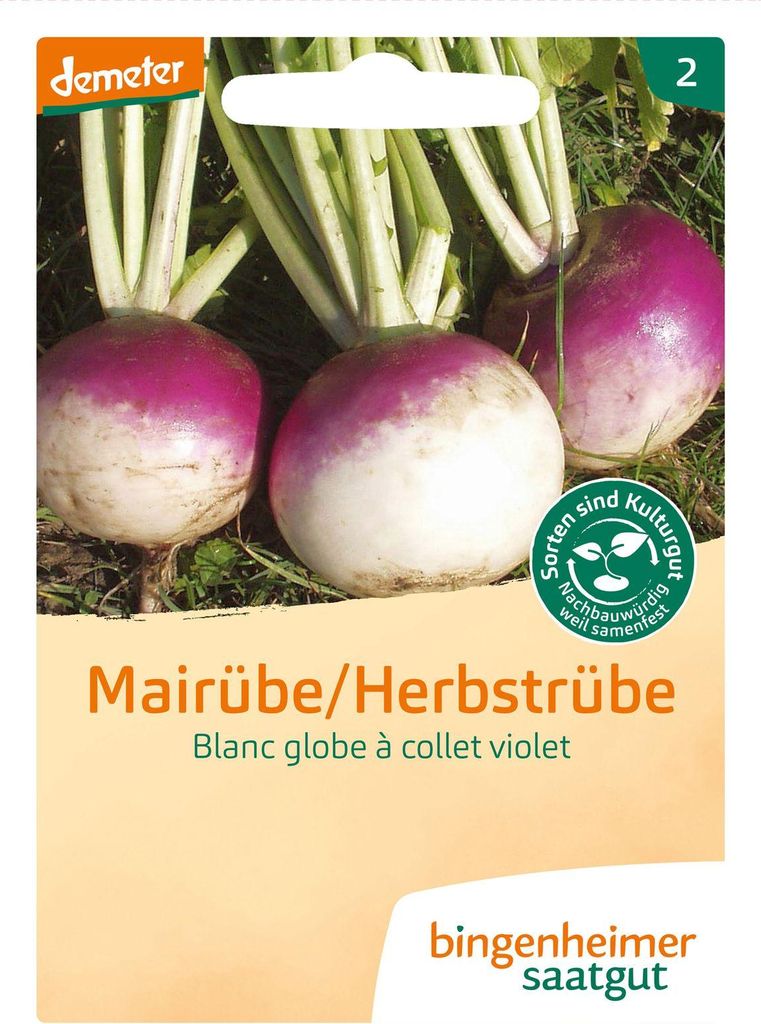 Mairübe Blanc globe à collet violet | Mairübensamen von Bingenheimer Saatgut