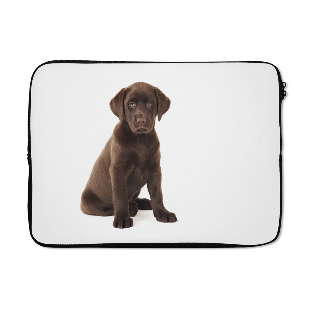 MuchoWow Laptop Hülle 14 ZollSchokolade Labrador Welpe für weißen Hintergrund Laptoptasche - Laptoptasche - Stoßsicher - Schutzhaube