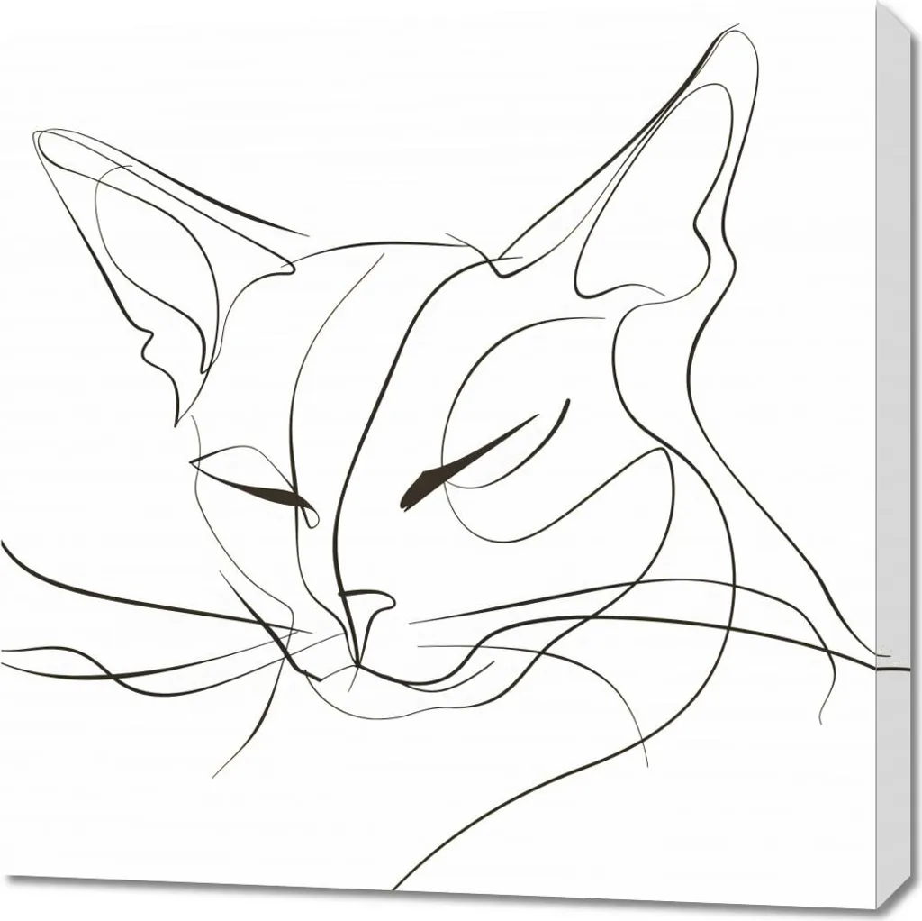 Décoration Murale Image Chat Lignes 70x70 - Tableau Design Contemporain