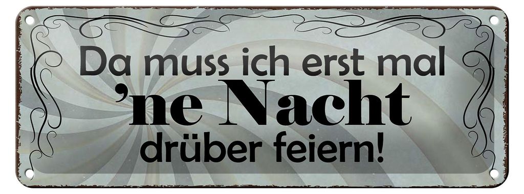 Blechschild Spruch 27x10cm muss erst mal Nacht drüber feiern Dekoration