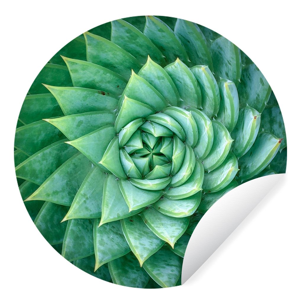 MuchoWow Runde Wandtattoo - Wandsticker Tapete Aufkleber Spirale Fettfabrik Ø 30 cm Selbstklebend und Repositionierbar - Wandaufkleber - Kreis -...