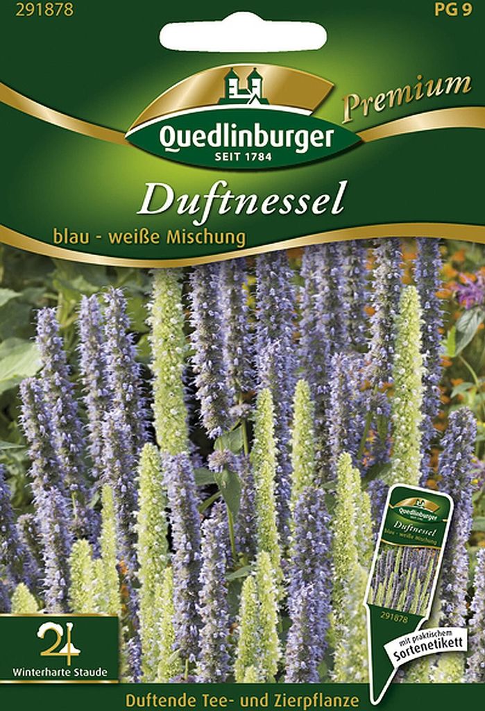 Quedlinburger Saatgut - Duftnessel blau-weiße Mischung - Samen - 291878