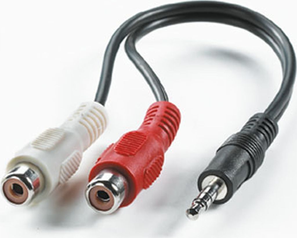 ROLINE 3,5mm (ST)-zu-Cinch (2x BU) Kabel, 0,2m
