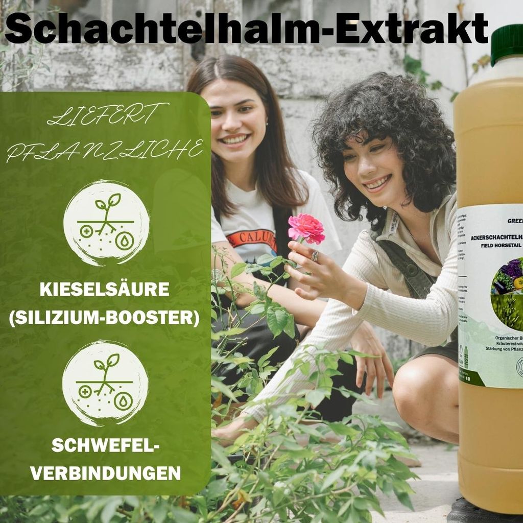 GreenPanda Acker-Schachtelhalm Jauche/Sud 3 Liter - Dnger