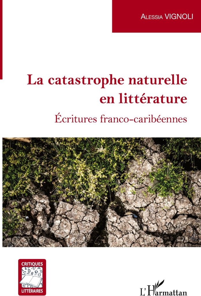 La catastrophe naturelle en littérature