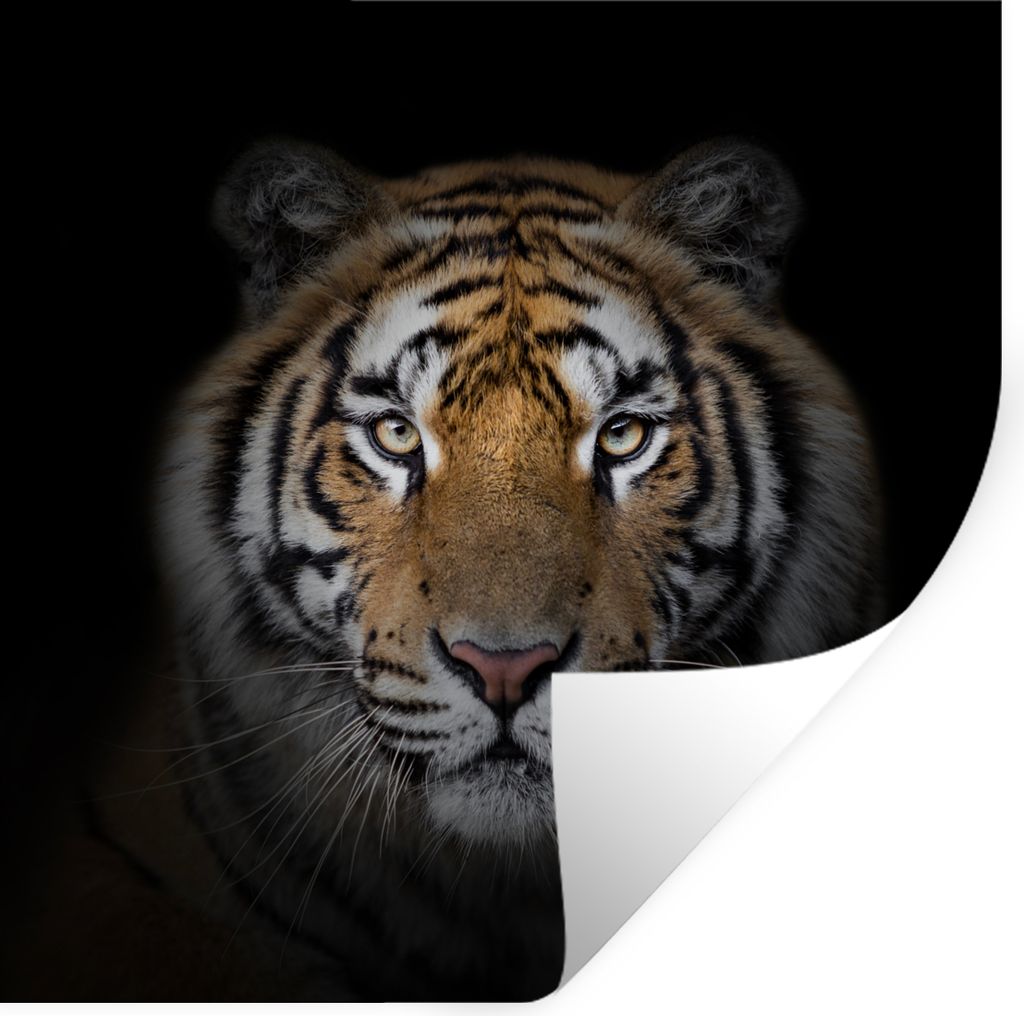 MuchoWow Wandtattoo Wandsticker Wandaufkleber Tiger - Wildtiere - Porträt - Schwarz - Tiere 80x80 cm Selbstklebend und Repositionierbar - Wierde...