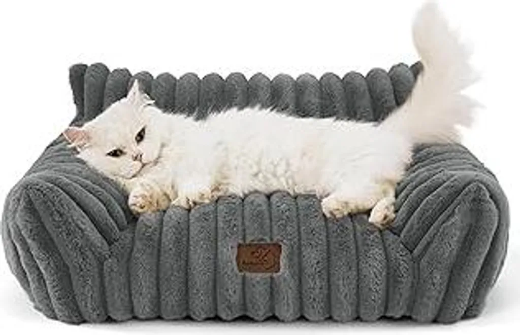 Divano Ortopedico per Gatti e Cani Piccoli 61x46cm Grigio Scuro