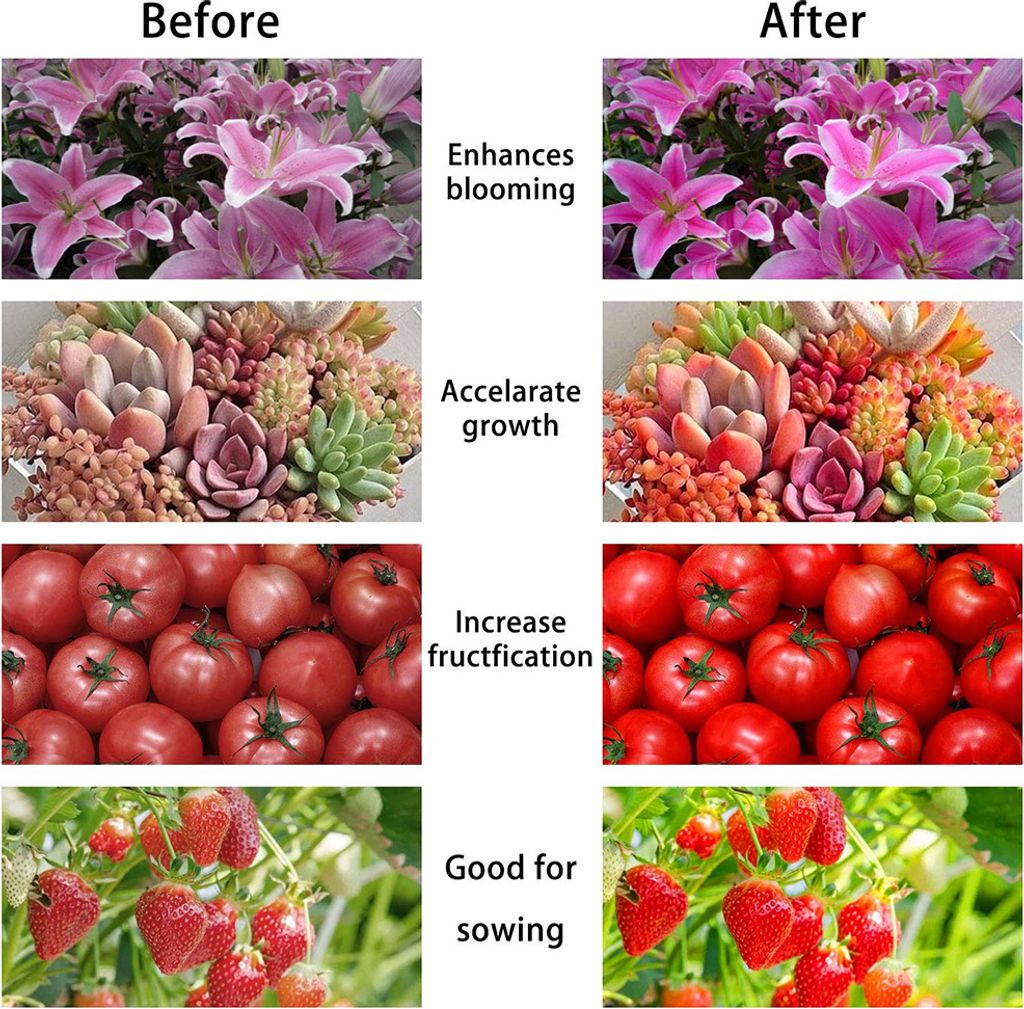 25W LED Pflanzenlampe, Led Grow Lampe Full Spectrum Wachsen Produktbild 14